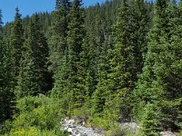x20150728 111952 : 2015, Family, Jeeping, Mountains, Ouray, Vacation