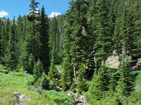 x20150728 112114 : 2015, Family, Jeeping, Mountains, Ouray, Vacation