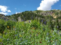 x20150728 112527 : 2015, Family, Jeeping, Mountains, Ouray, Vacation