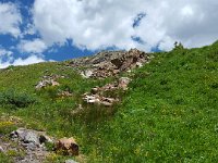 x20150728 123906 : 2015, Family, Jeeping, Mountains, Ouray, Vacation