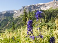 Ouray15-1841 : Jeep, Ouray