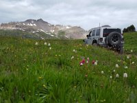 x20150731 091953 : 2015, Family, Jeeping, Mountains, Ouray, Vacation