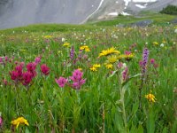 x20150731 092105 : 2015, Family, Jeeping, Mountains, Ouray, Vacation