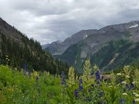 x20150731 122333 : 2015, Family, Jeeping, Mountains, Ouray, Vacation
