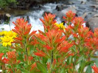x20150731 122505 : 2015, Family, Jeeping, Mountains, Ouray, Vacation