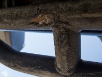 ChinamanGulchDamage-6229 : Damage, Jeep