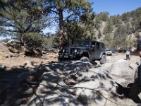 ChinamanGulch-5192 : Chinaman Gluch, Jeep