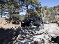 ChinamanGulch-5193 : Chinaman Gluch, Jeep