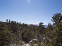 ChinamanGulch-6073 : Chinaman Gluch, Jeep