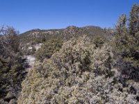 ChinamanGulch-6083 : Chinaman Gluch, Jeep