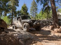 LongwaterHackette-4907 : Hackette, Jeep