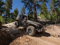 LongwaterHackette-4909 : Hackette, Jeep