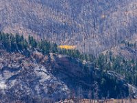 LongwaterOct-5645 : Jeep