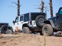 LongwaterOct-5649 : Jeep