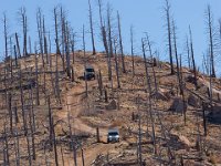 LongwaterOct-5657 : Jeep