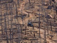 LongwaterOct-5667 : Jeep