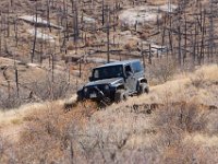 LongwaterOct-5689 : Jeep