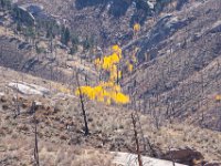 LongwaterOct-5692 : Jeep