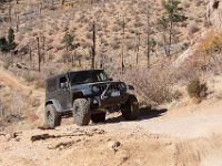 LongwaterOct-5754 : Jeep