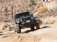 LongwaterOct-5756 : Jeep