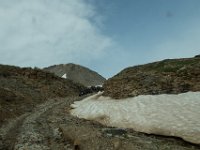 BlackBear-7499 : Ouray