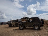 BlackBear-7507 : Ouray