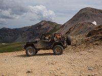 BlackBear-7529 : Ouray