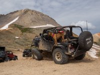 BlackBear-7535 : Ouray