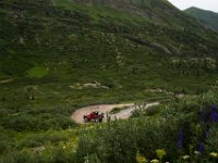 BlackBear-7575 : Ouray