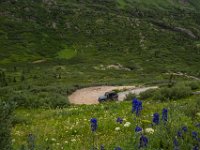 BlackBear-7577 : Ouray