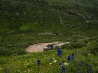 BlackBear-7581 : Ouray