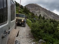 BlackBear-7590 : Ouray