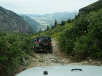 BlackBear-7599 : Ouray