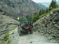 BlackBear-7611 : Ouray