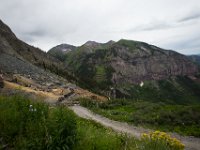 BlackBear-7622 : Ouray