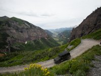 BlackBear-7624 : Ouray