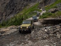 BlackBear-7625 : Ouray