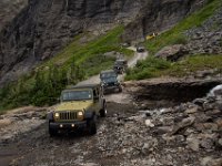 BlackBear-7626 : Ouray