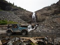 BlackBear-7628 : Ouray