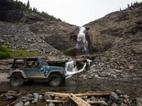 BlackBear-7629 : Ouray