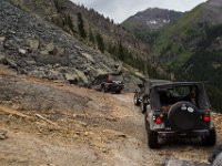 BlackBear-7637 : Ouray