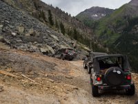 BlackBear-7638 : Ouray