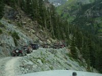 BlackBear-7640 : Ouray