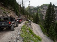 BlackBear-7646 : Ouray