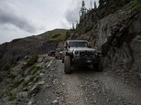 BlackBear-7651 : Ouray