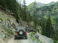BlackBear-7654 : Ouray