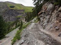 BlackBear-7665 : Ouray