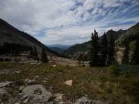 BlackBear-7678 : Ouray