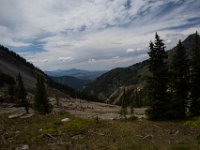 BlackBear-7679 : Ouray