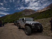 BlackBear-7686 : Ouray